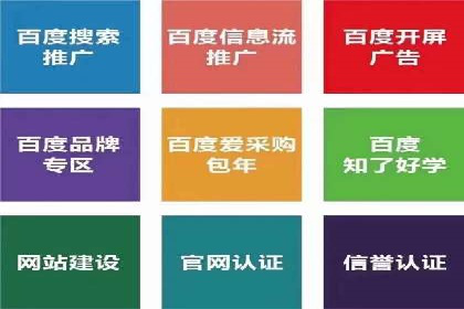 百度SEO推广技巧案例分析